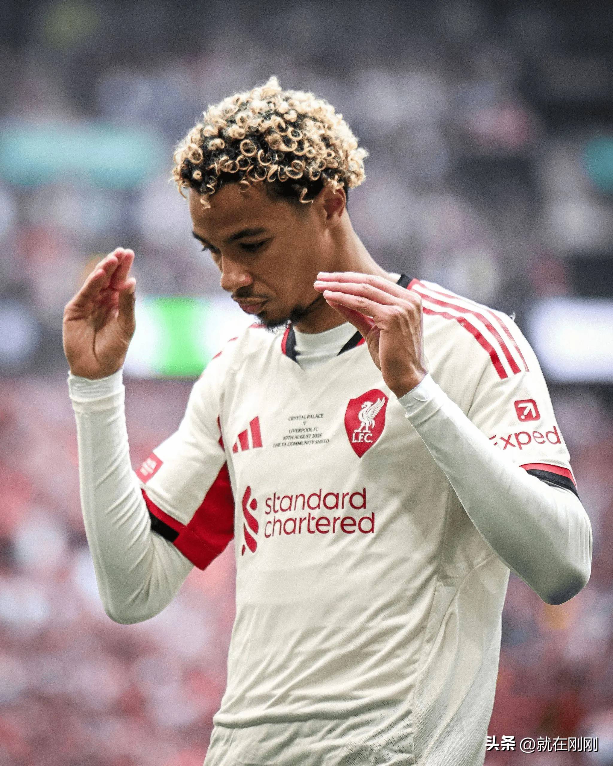 离谱！利物浦围绕社区盾防线松动塞维利亚今晚强势反弹，菲尼克斯太阳伤情更新备战德甲的简单介绍